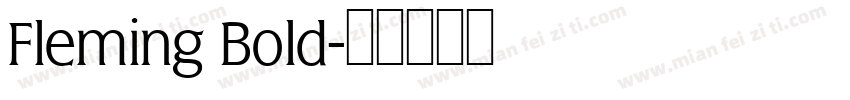 Fleming Bold字体转换